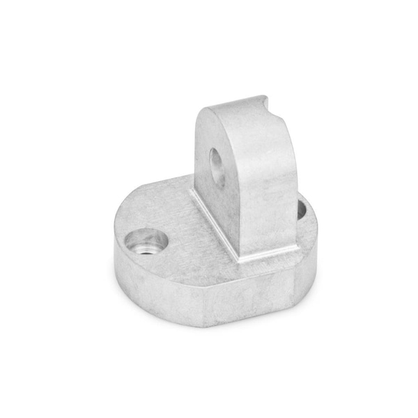 JW Winco GN485-30-MT Swivel Clamp